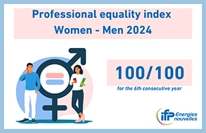 gender equality index: 100/100 