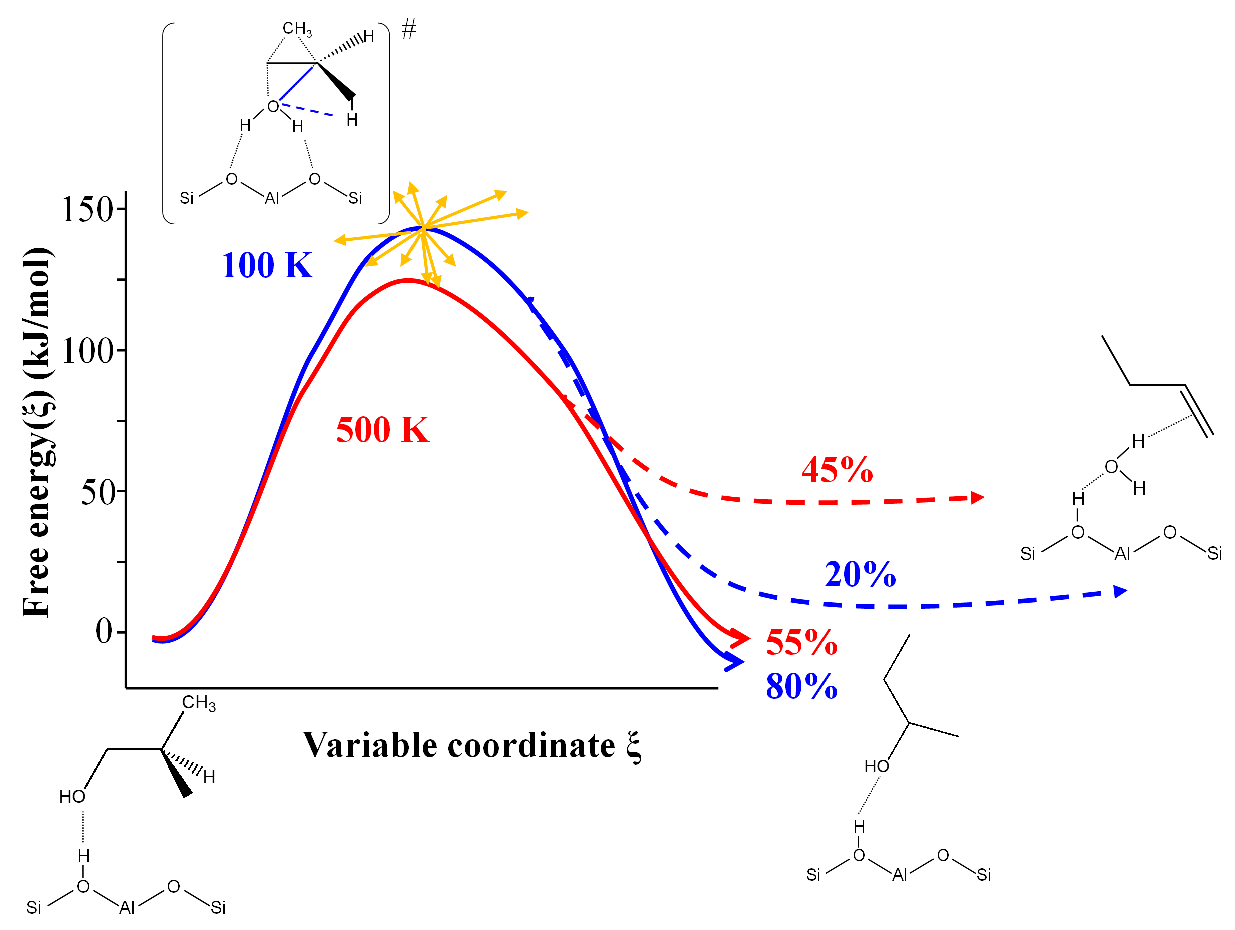 Free energy profile