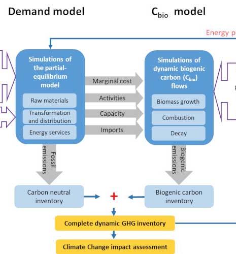 Dynamic modeling carbon neutrality
