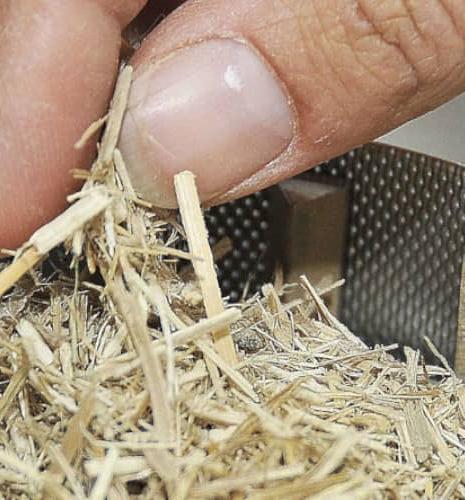 échantillon de biomasse manipulé dans un récipient en métal